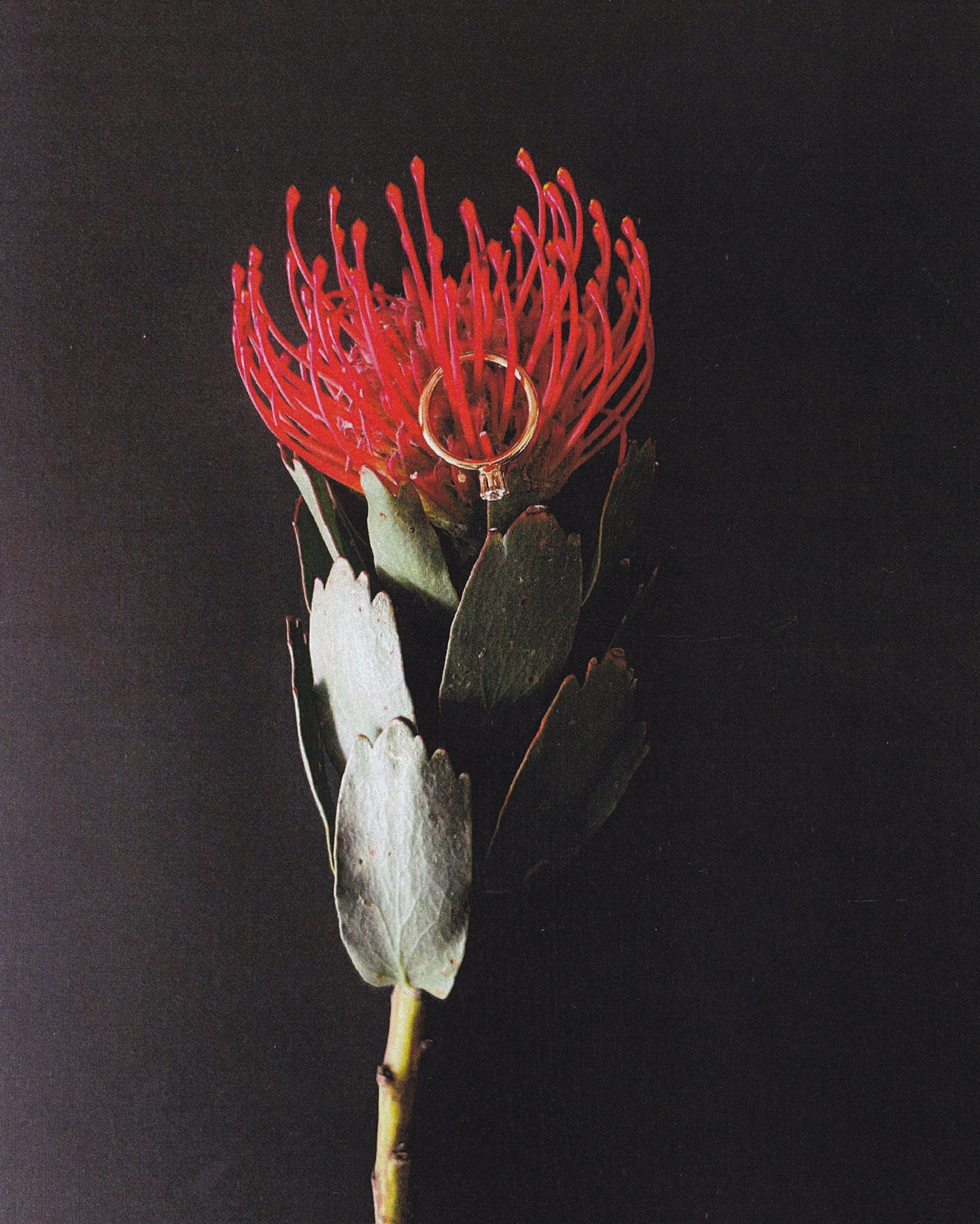 Showroom